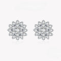 Brinco Prata Floco de Neve