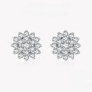 Brinco Prata Floco de Neve